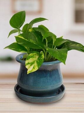 Bohemian Blue & Green Glazed Ceramic Planter with Attached Saucer - Small Plants